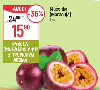 Globus Mučenka (maracuja) nabídka