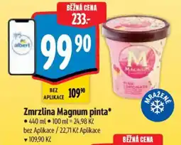 Albert MAGNUM Zmrzlina pinta nabídka