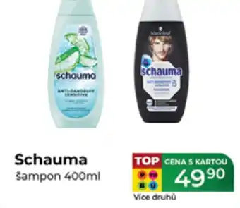 Tamda Foods Schauma šampon nabídka