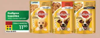 Tamda Foods PEDIGREE kapsička +hovězí +jehněčí nabídka