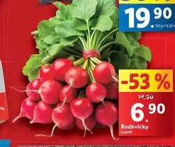 Ředkvičky