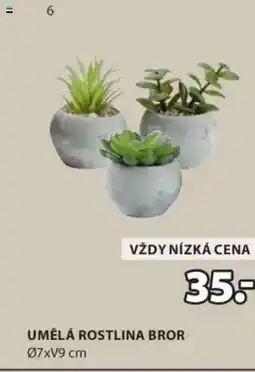 JYSK Umělá rostlina bror nabídka