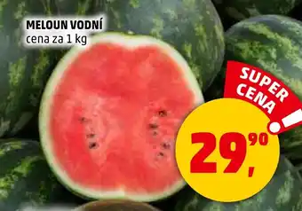 Penny Market Meloun vodní nabídka