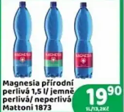Brněnka Magnesia přírodní perlivá nabídka