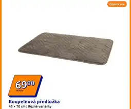 Action Koupelnová předložka nabídka