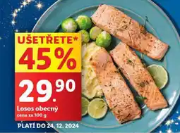 Lidl Losos obecný nabídka