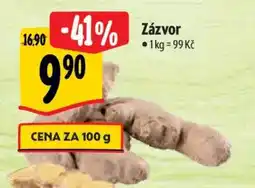 Zázvor