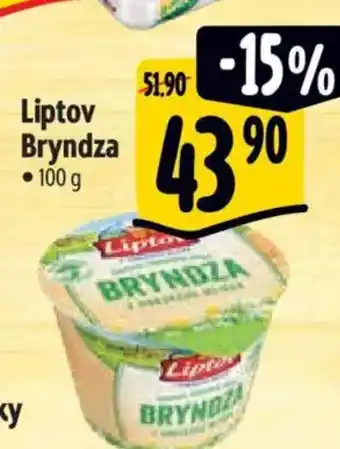 Albert Liptov Bryndza nabídka