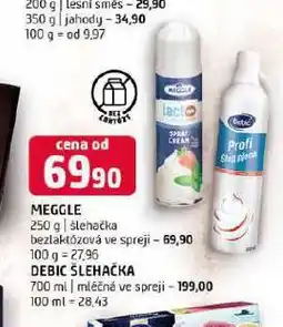 Terno Debic šlehačka ve spreji nabídka