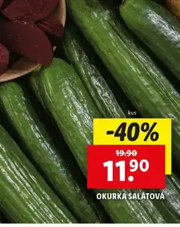 Lidl Okurka salátová nabídka