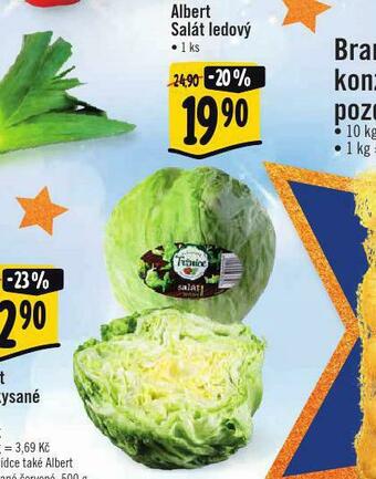 Albert Salát ledový nabídka