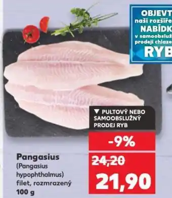 Kaufland Pangasius nabídka