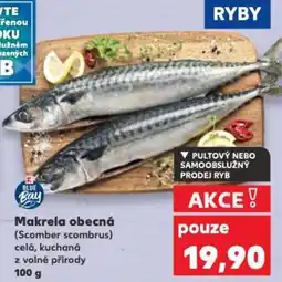 Kaufland Makrela obecná nabídka