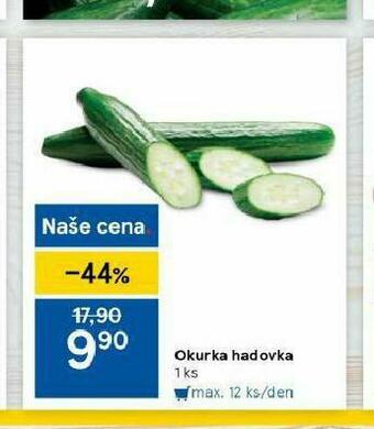 Tesco Okurka hadovka nabídka