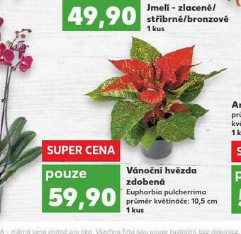 Kaufland Vánoční hvězda zdobená nabídka