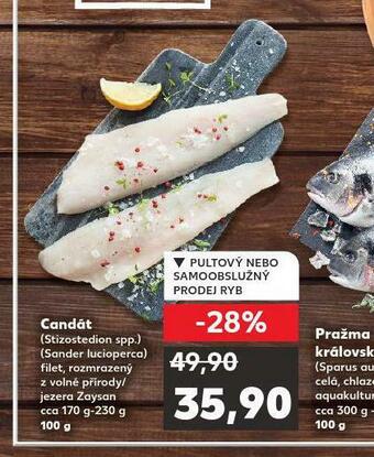 Kaufland Candát nabídka