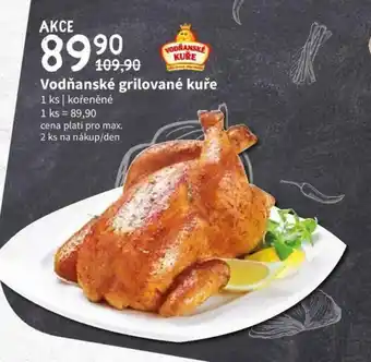 Terno Vodnanské grilované kuře 1ks nabídka
