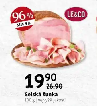 Terno Selská šunka 100g nabídka