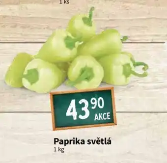 Terno Paprika světlá 1kg nabídka