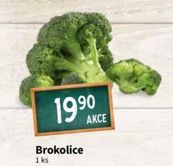 Terno Brokolice 1ks nabídka