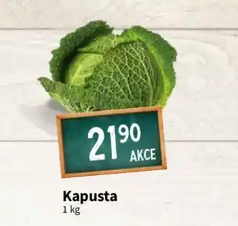 Terno Kapusta 1kg nabídka