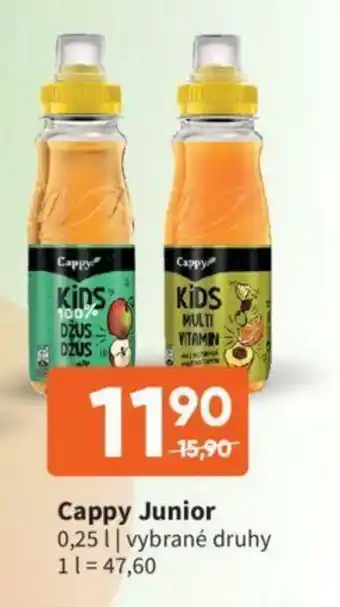 Terno Cappy Junior 250ml nabídka