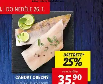 Lidl Candát obecný nabídka