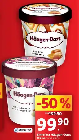 Lidl Häagen dazs zmrzlina nabídka