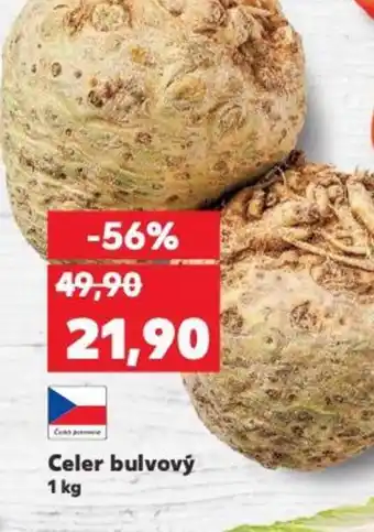 Kaufland Celer bulvový nabídka