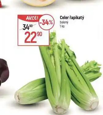 Globus Celer řapíkatý nabídka