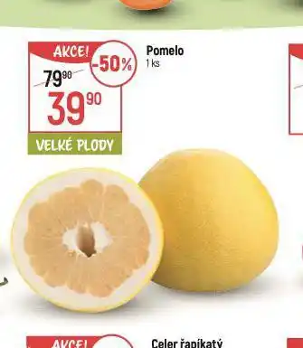 Globus Pomelo nabídka