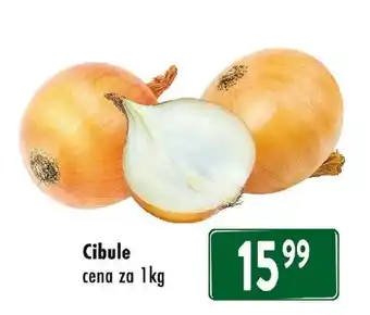 Qanto Cibule nabídka