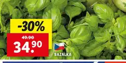 Lidl Bazalka nabídka