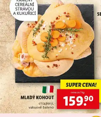 Lidl Mladý kohout nabídka