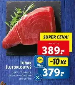 Lidl Tuňák žlutoploutvý nabídka