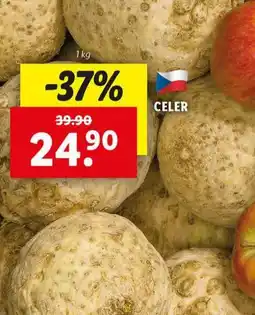 Lidl Celer nabídka