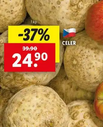 Lidl Celer nabídka