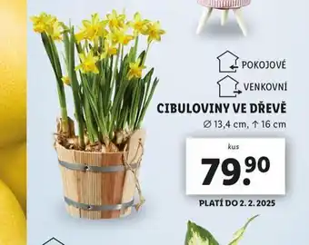 Lidl Cibuloviny ve dřevě nabídka