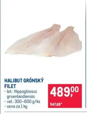 Makro Halibut grónský filet nabídka