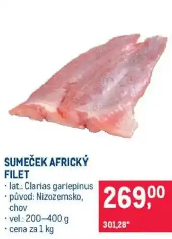 Makro Sumeček africký filet nabídka