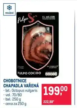 Makro Chobotnice chapadla vařená nabídka