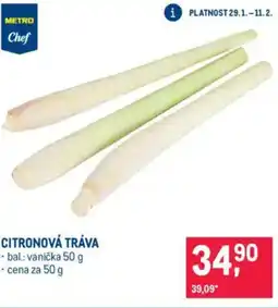 Makro Citronová tráva nabídka