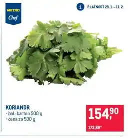 Makro Koriandr nabídka