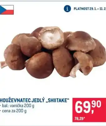 Makro Houževnatec jedlý „shiitake" nabídka