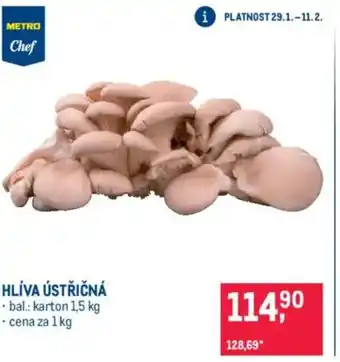 Makro Hlíva ústřičná nabídka