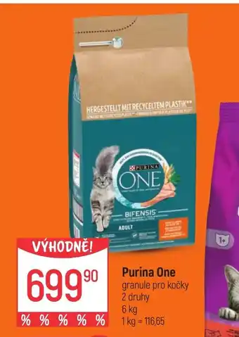 Globus Purina One nabídka