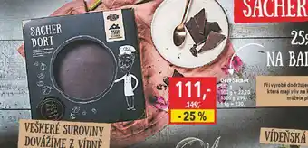 Globus Dort sacher nabídka
