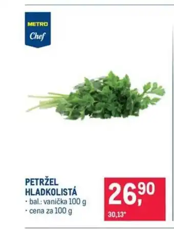 Makro Petržel hladkolistá nabídka