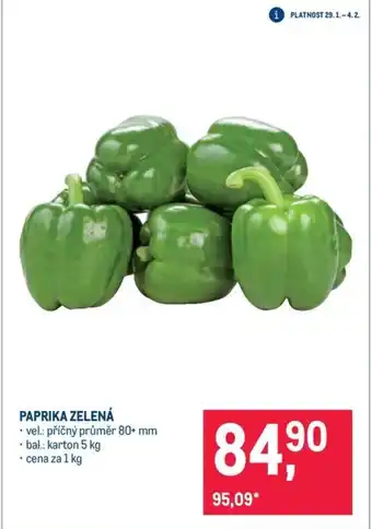 Makro Paprika zelená nabídka