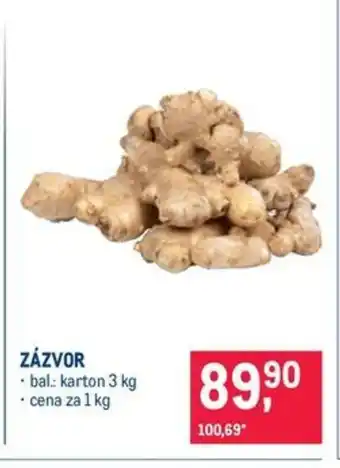 Makro Zázvor nabídka